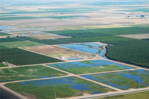 Spreading ponds in Rosedale-Rio Bravo Water Storage District used for groundwater banking. Source: Rosedale-Rio Bravo